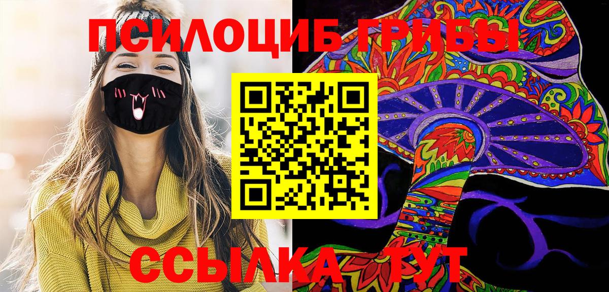 Кимры  Галлюциногенные грибы Magic Shrooms  Вход с VPN 